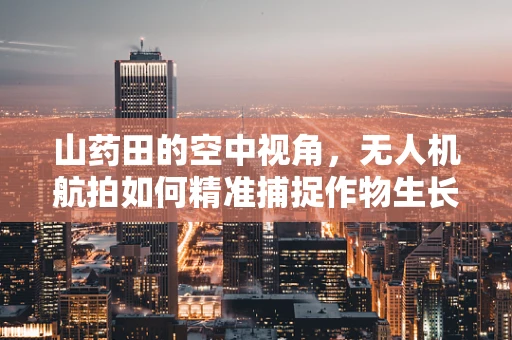 山药田的空中视角，无人机航拍如何精准捕捉作物生长细节？