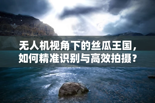 无人机视角下的丝瓜王国，如何精准识别与高效拍摄？