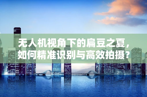无人机视角下的扁豆之夏，如何精准识别与高效拍摄？
