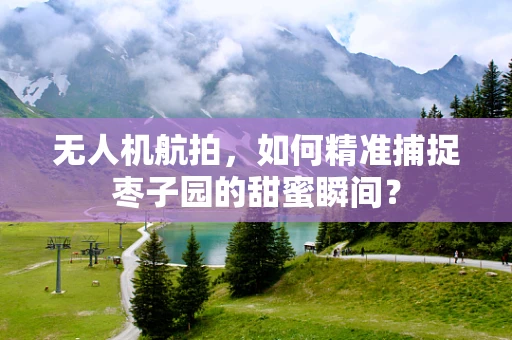 无人机航拍，如何精准捕捉枣子园的甜蜜瞬间？