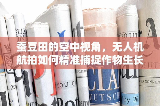 蚕豆田的空中视角，无人机航拍如何精准捕捉作物生长细节？