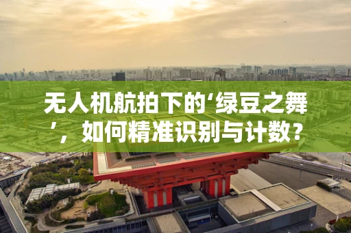 无人机航拍下的‘绿豆之舞’，如何精准识别与计数？