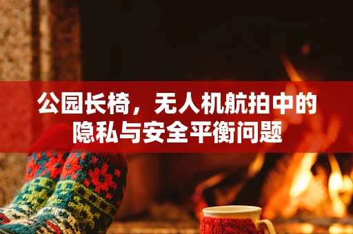 公园长椅，无人机航拍中的隐私与安全平衡问题