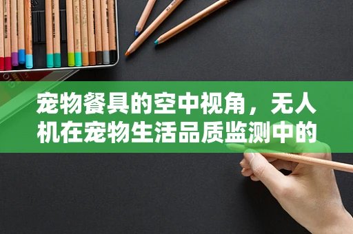 宠物餐具的空中视角，无人机在宠物生活品质监测中的应用挑战