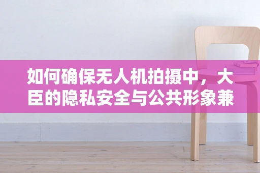 如何确保无人机拍摄中，大臣的隐私安全与公共形象兼顾？