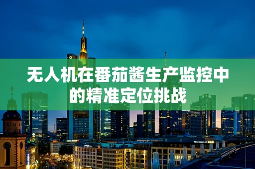 无人机在番茄酱生产监控中的精准定位挑战