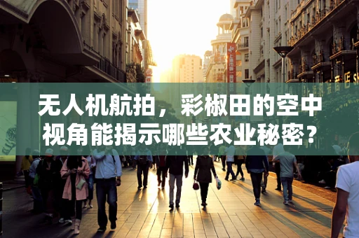 无人机航拍，彩椒田的空中视角能揭示哪些农业秘密？