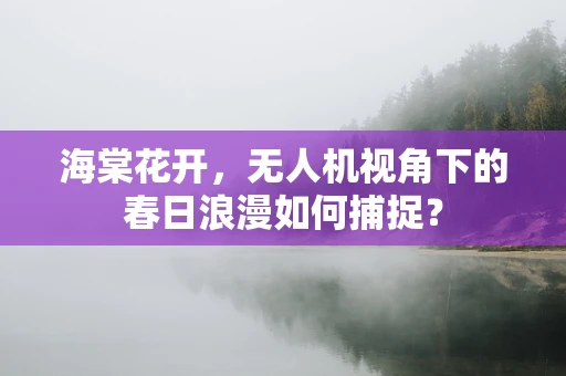 海棠花开，无人机视角下的春日浪漫如何捕捉？