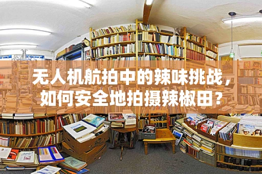 无人机航拍中的辣味挑战，如何安全地拍摄辣椒田？