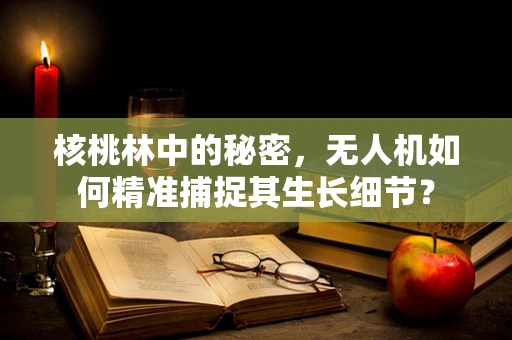 核桃林中的秘密，无人机如何精准捕捉其生长细节？