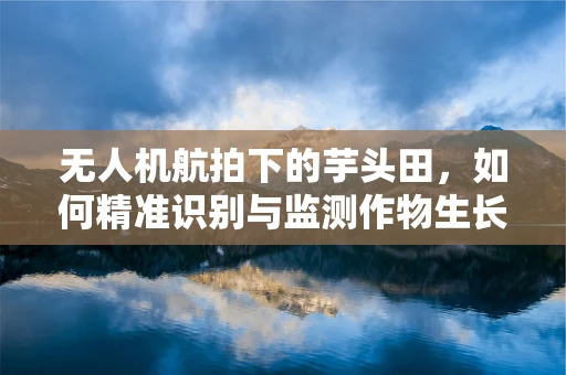 无人机航拍下的芋头田，如何精准识别与监测作物生长？