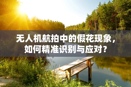无人机航拍中的假花现象，如何精准识别与应对？