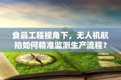 食品工程视角下，无人机航拍如何精准监测生产流程？