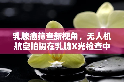 乳腺癌筛查新视角，无人机航空拍摄在乳腺X光检查中的应用潜力