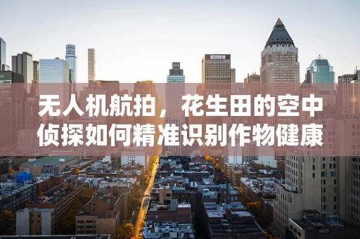 无人机航拍，花生田的空中侦探如何精准识别作物健康？