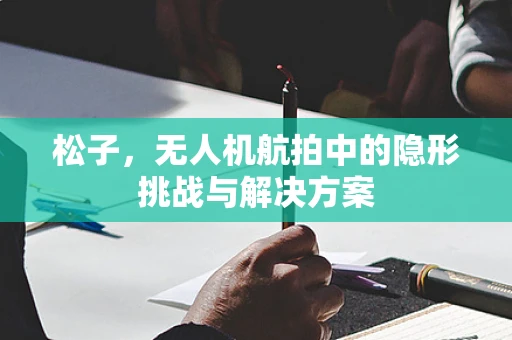 松子，无人机航拍中的隐形挑战与解决方案