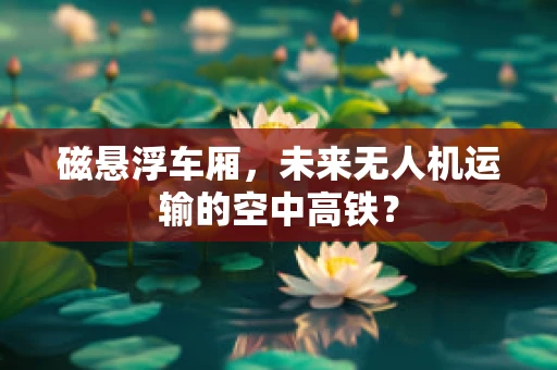 磁悬浮车厢，未来无人机运输的空中高铁？