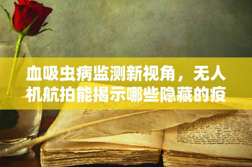 血吸虫病监测新视角，无人机航拍能揭示哪些隐藏的疫情线索？