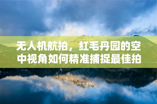 无人机航拍，红毛丹园的空中视角如何精准捕捉最佳拍摄时机？