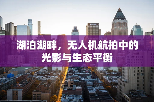 湖泊湖畔，无人机航拍中的光影与生态平衡