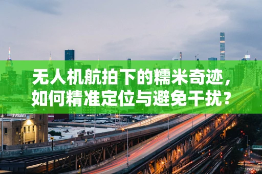 无人机航拍下的糯米奇迹，如何精准定位与避免干扰？
