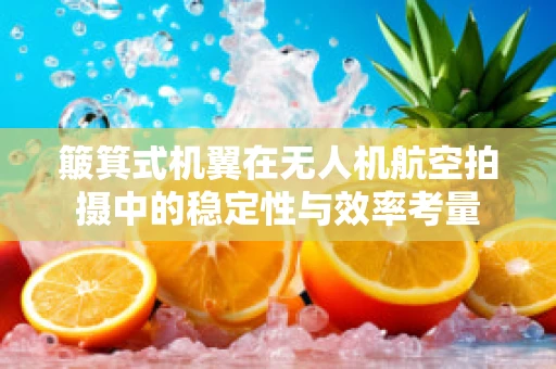 簸箕式机翼在无人机航空拍摄中的稳定性与效率考量