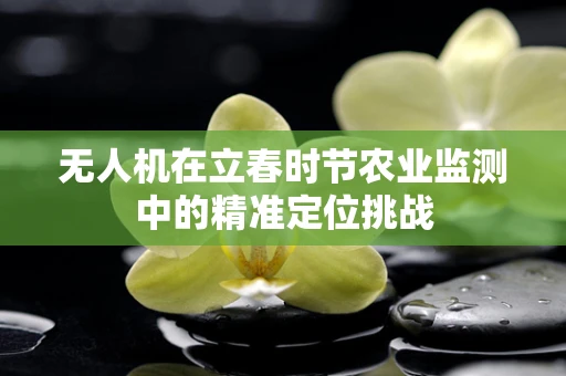 无人机在立春时节农业监测中的精准定位挑战