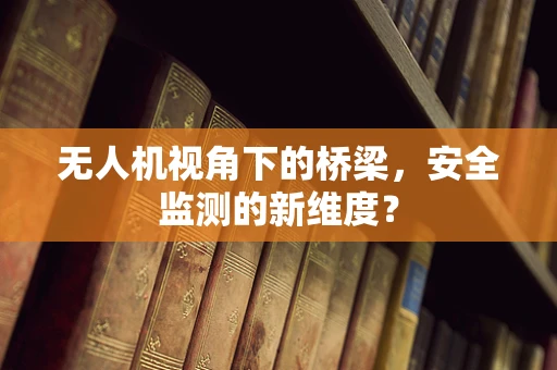 无人机视角下的桥梁，安全监测的新维度？