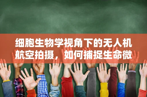 细胞生物学视角下的无人机航空拍摄，如何捕捉生命微观世界的壮丽画卷？