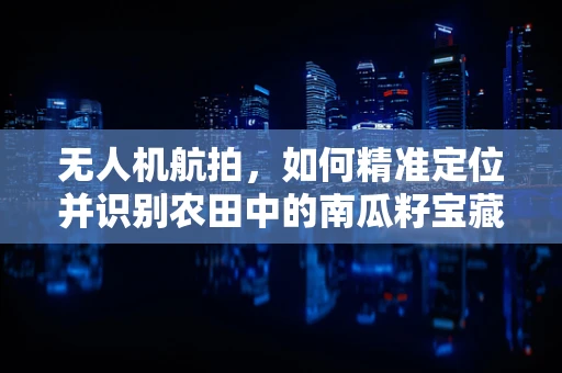 无人机航拍，如何精准定位并识别农田中的南瓜籽宝藏？