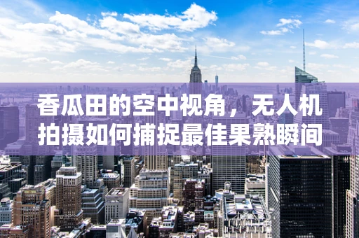 香瓜田的空中视角，无人机拍摄如何捕捉最佳果熟瞬间？