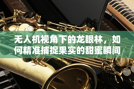 无人机视角下的龙眼林，如何精准捕捉果实的甜蜜瞬间？