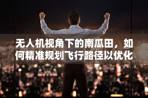 无人机视角下的南瓜田，如何精准规划飞行路径以优化拍摄效果？