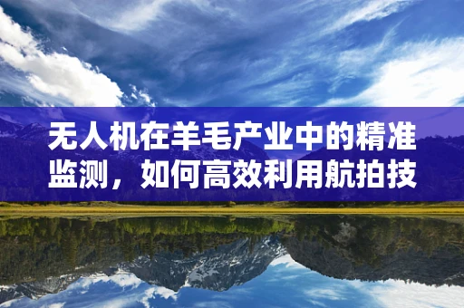 无人机在羊毛产业中的精准监测，如何高效利用航拍技术提升牧场管理？