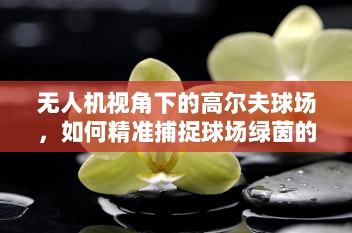 无人机视角下的高尔夫球场，如何精准捕捉球场绿茵的每一个细节？