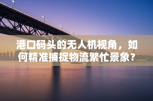 港口码头的无人机视角，如何精准捕捉物流繁忙景象？