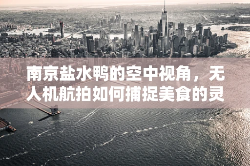 南京盐水鸭的空中视角，无人机航拍如何捕捉美食的灵魂？