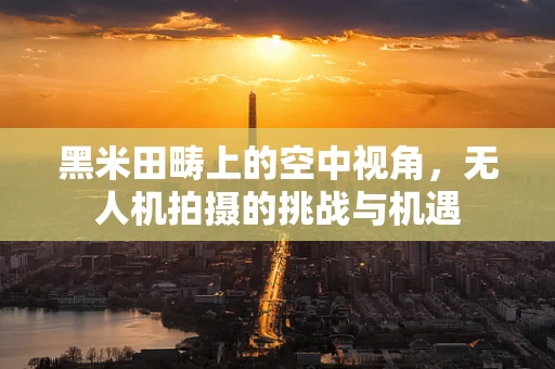 黑米田畴上的空中视角，无人机拍摄的挑战与机遇