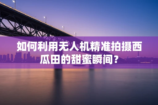 如何利用无人机精准拍摄西瓜田的甜蜜瞬间？