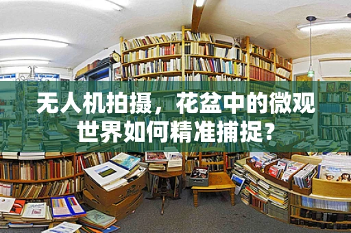 无人机拍摄，花盆中的微观世界如何精准捕捉？