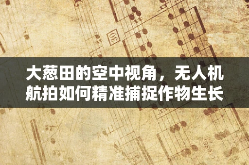 大葱田的空中视角，无人机航拍如何精准捕捉作物生长细节？