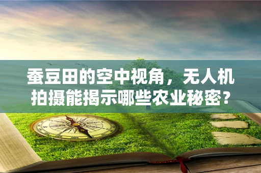 蚕豆田的空中视角，无人机拍摄能揭示哪些农业秘密？