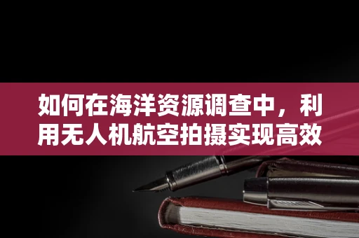 如何在海洋资源调查中，利用无人机航空拍摄实现高效监测？