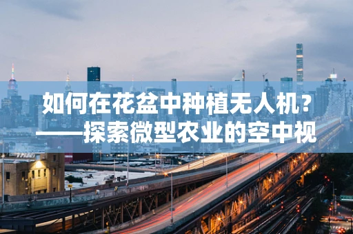 如何在花盆中种植无人机？——探索微型农业的空中视角