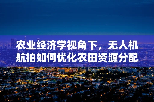 农业经济学视角下，无人机航拍如何优化农田资源分配？