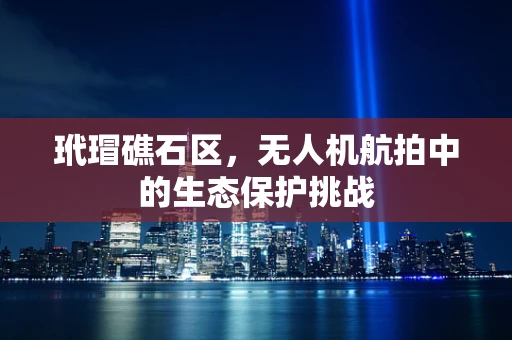 玳瑁礁石区，无人机航拍中的生态保护挑战