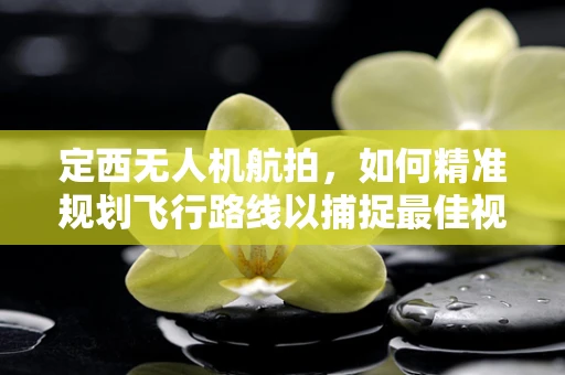 定西无人机航拍，如何精准规划飞行路线以捕捉最佳视觉效果？