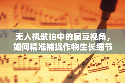 无人机航拍中的扁豆视角，如何精准捕捉作物生长细节？
