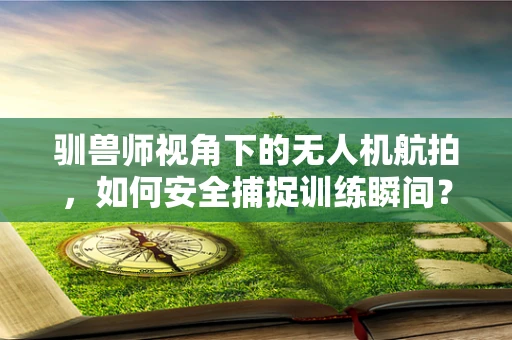 驯兽师视角下的无人机航拍，如何安全捕捉训练瞬间？