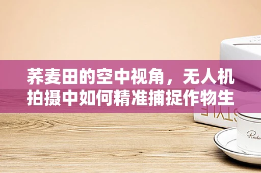 荞麦田的空中视角，无人机拍摄中如何精准捕捉作物生长的动态变化？